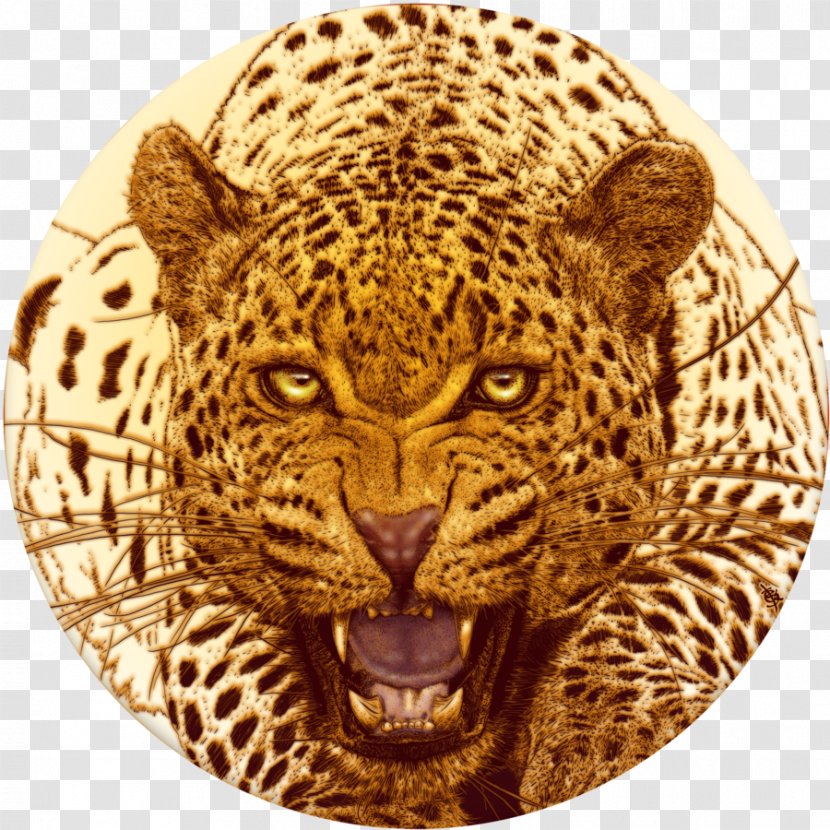 Leopard Cheetah Jaguar Tiger Lion - Snout Transparent PNG