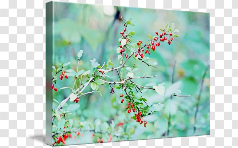 Canvas Print Printing Art Acrylic Paint - Watercolor Berries Transparent PNG