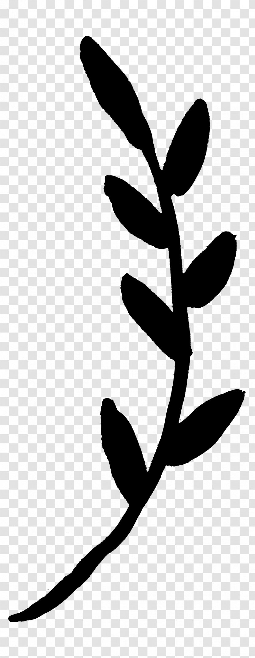 Twig Plant Stem Flower Leaf Clip Art - Pedicel - Design M Transparent PNG