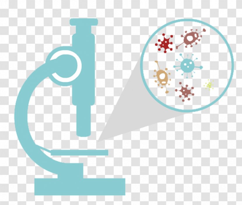 Microscope Bacteria Clip Art - Area - Bacterial Health Under The Transparent PNG