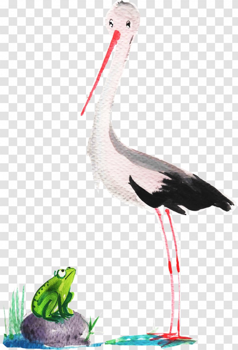 White Stork Bird Crane Beak Neck Transparent PNG