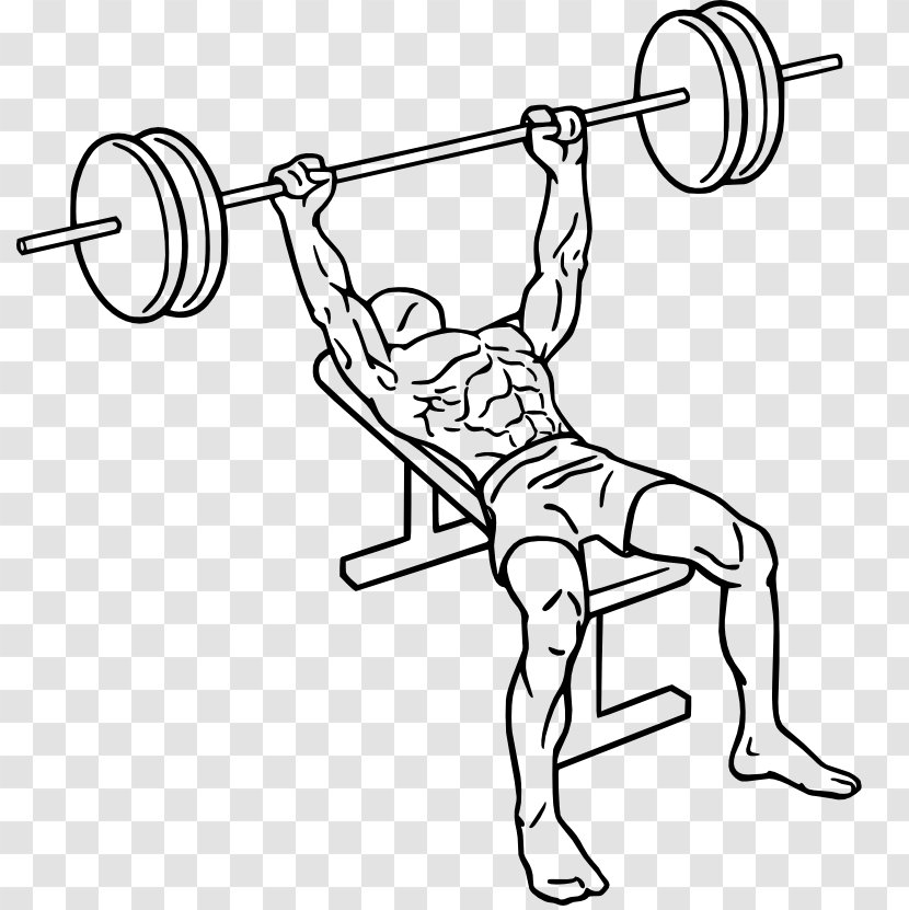 Bench Press Fly Barbell Smith Machine - Exercise Equipment Transparent PNG