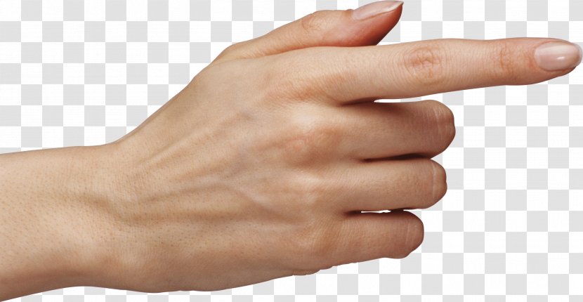 Finger Hand - Pointer - Hands Image Transparent PNG