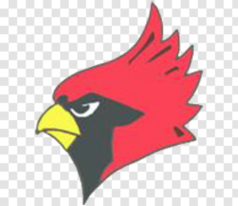 Warrensburg-Latham High School Middle National Secondary Maroa - Perching Bird - Cardinal Clipart Transparent PNG