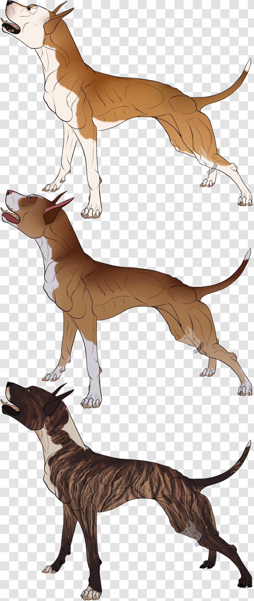 Italian Greyhound Cartoon Character - Fictional - Cane Corso Transparent PNG