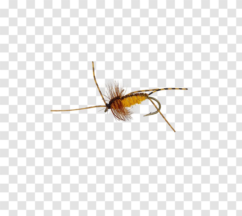Insect Artificial Fly - Invertebrate Transparent PNG