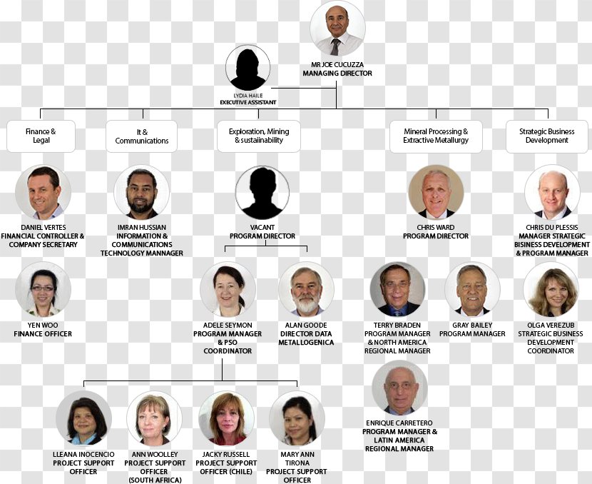 Organizational Chart Structure Board Of Directors BHP Billiton Ltd. - Bhp Ltd - Business Transparent PNG