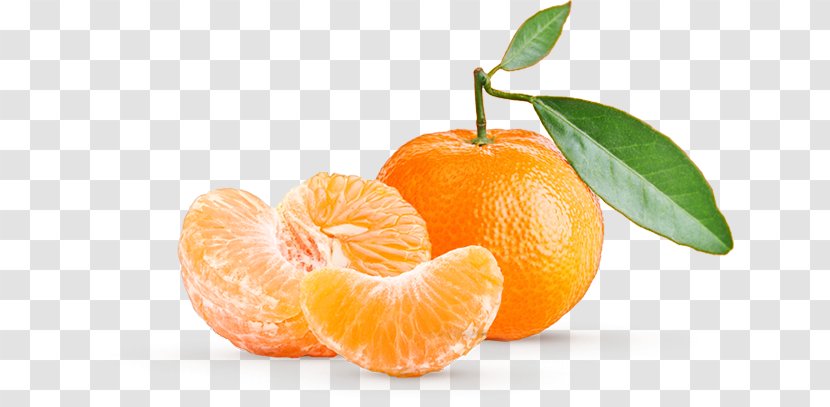 Essential Oil Food Bergamot Orange Mandarin - Clemenvilla - Fresh Fruit Juice Transparent PNG