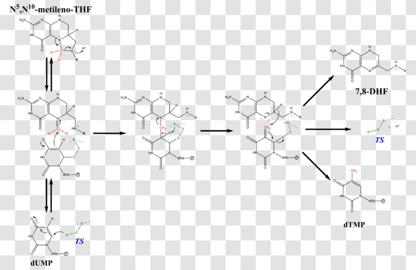 Drawing Technology Pattern - Area Transparent PNG