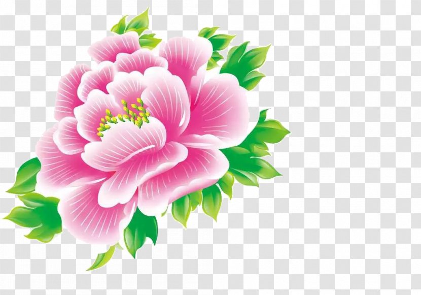 Moutan Peony Floral Design - Plant Transparent PNG