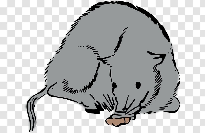 Rat Mouse Clip Art Whiskers Cat - Mammal Transparent PNG