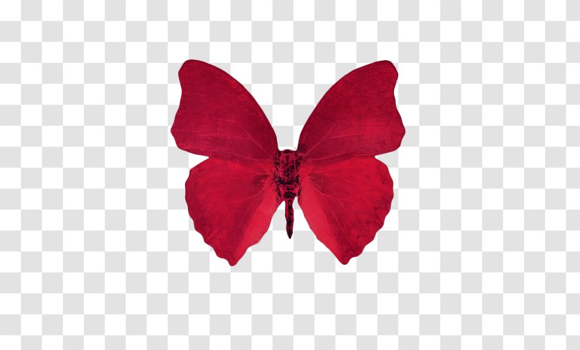 Butterfly Desktop Wallpaper Aesthetics Clip Art - Petal - Red Transparent PNG