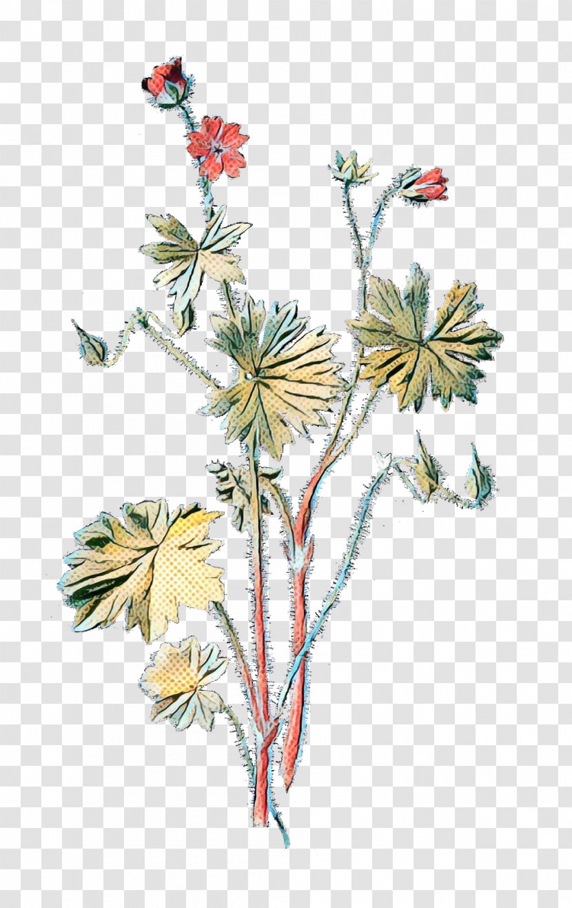 Dove's-foot Crane's-bill Branch Plants Wild Geranium Illustration - Cranesbill - Flora Transparent PNG