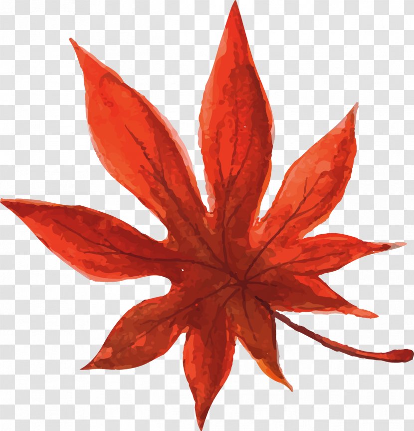Cannabis Smoking Illustration - Plant - Hand-painted Watercolor Yellow Maple Leaves Transparent PNG