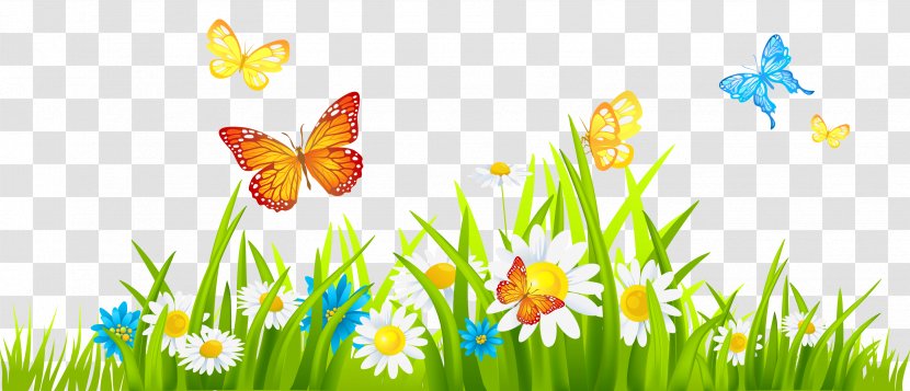 Flower Clip Art - Watering Cans - Grass Ground With Flowers And Butterflies Clipart Transparent PNG