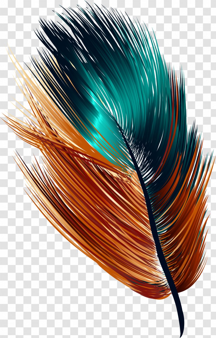 Feather Drawing - Color - Hand Painted Colorful Transparent PNG