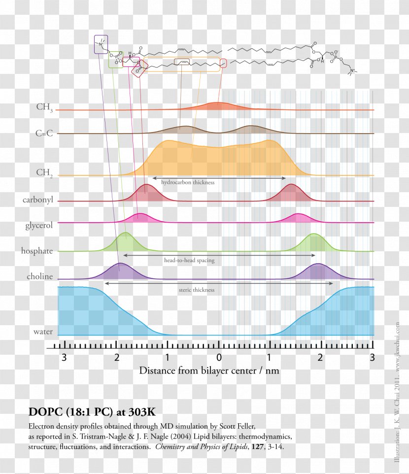 Lipid Long Tail Membrane - Poster - Lp Record Transparent PNG