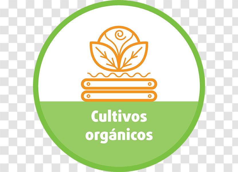 Organic Food Crop Harvest Agriculture Hydroponics - Cultivar - Natural Transparent PNG