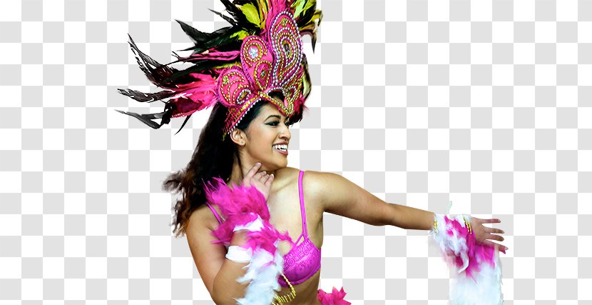 Pink M Feather RTV Hair Carnival Cruise Line - Fashion Accessory - Rio Dancers Transparent PNG