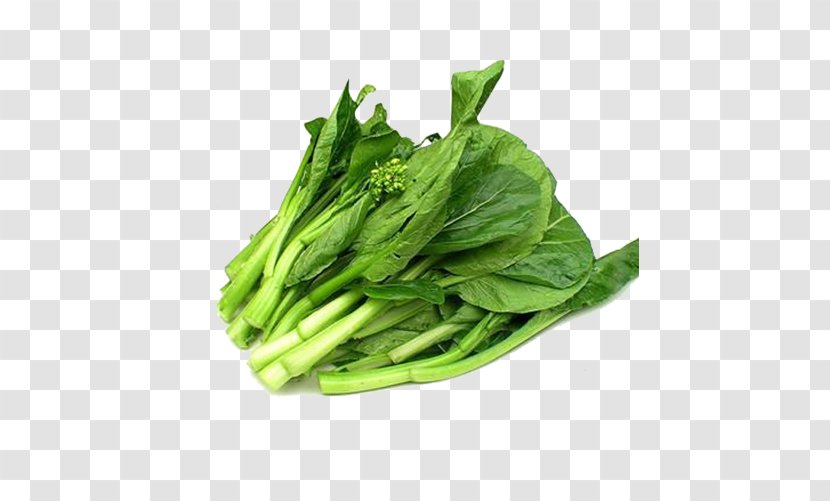 Chinese Cuisine Choy Sum Cantonese Vegetable Food - Cabbage Material Transparent PNG