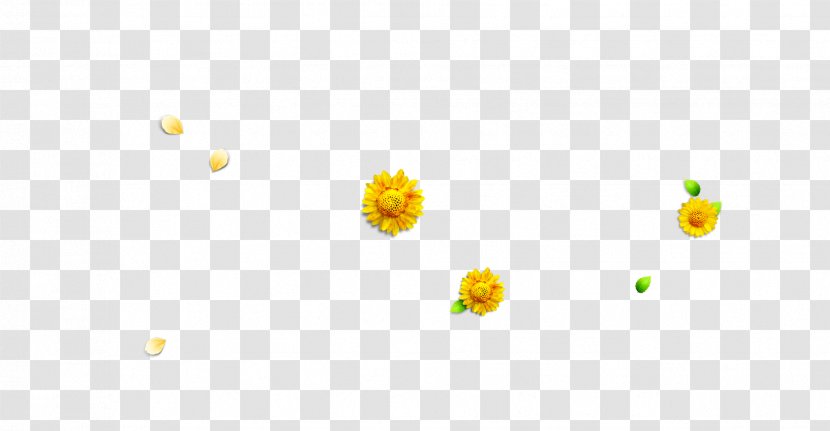 Petal Yellow Pattern - Computer - Chrysanthemum Leaves Petals Transparent PNG