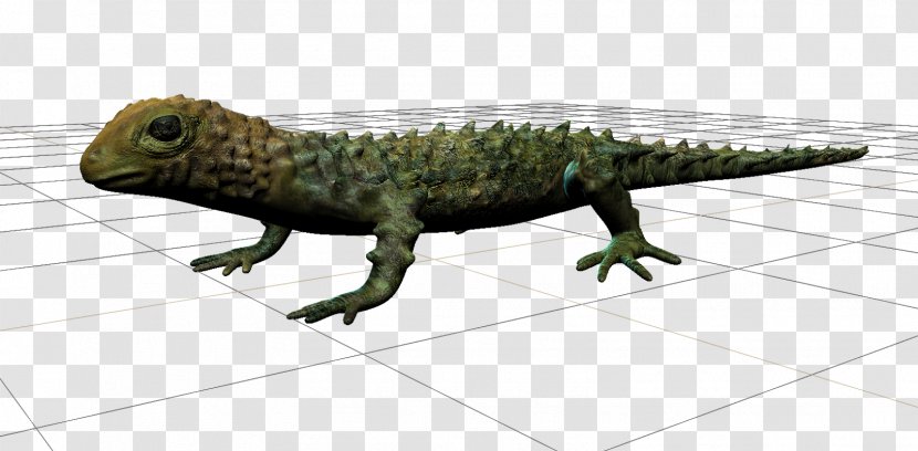 Common Iguanas Fauna Dragon Lizards Terrestrial Animal - Iguana - Reptile Transparent PNG