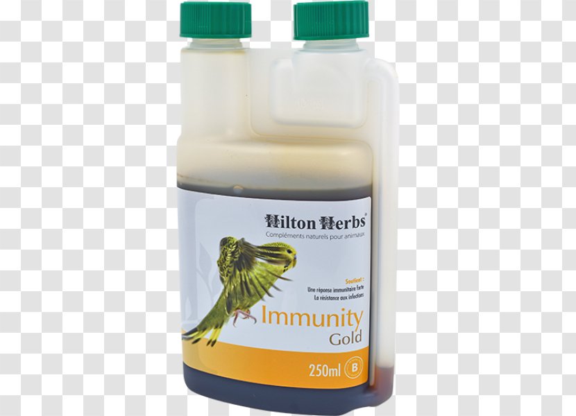 Bird Rock Dove Dietary Supplement Immunity Immune System - Gastrointestinal Tract Transparent PNG