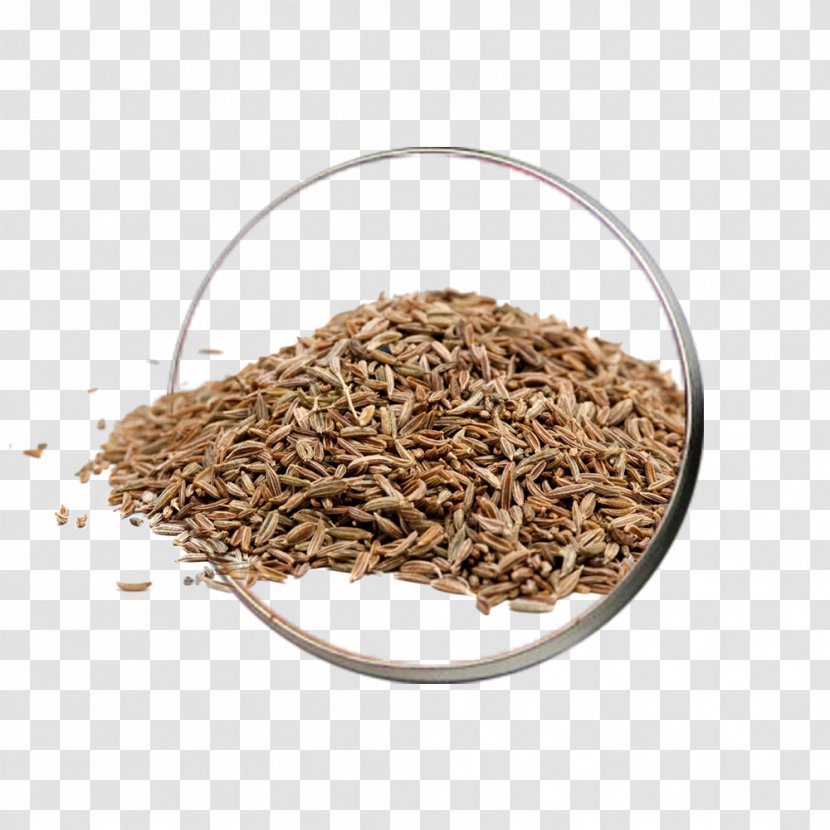 Cumin Indian Cuisine Caraway Coriander Spice - Commodity - Mohammad Ali Taraghijah Transparent PNG