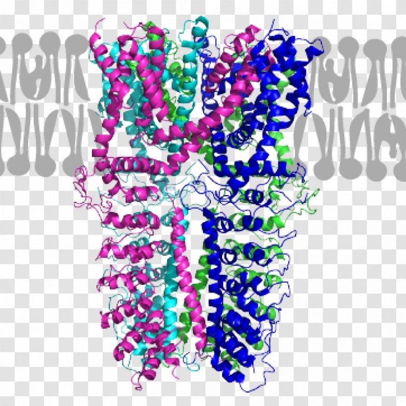 Graphic Design Membrane Protein Organism - Cell Culture Transparent PNG