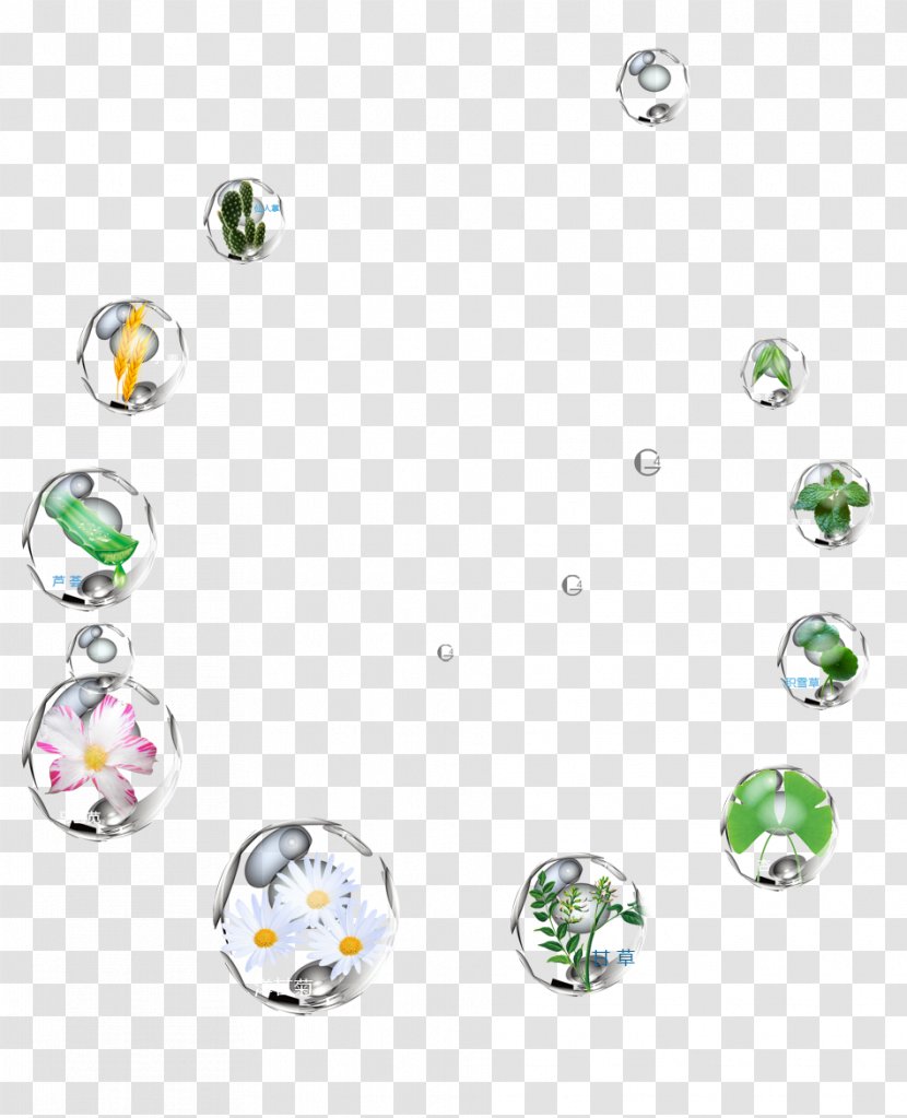 Bubble Plant Designer Computer File - Circular Bubbles Of Various Plants Transparent PNG
