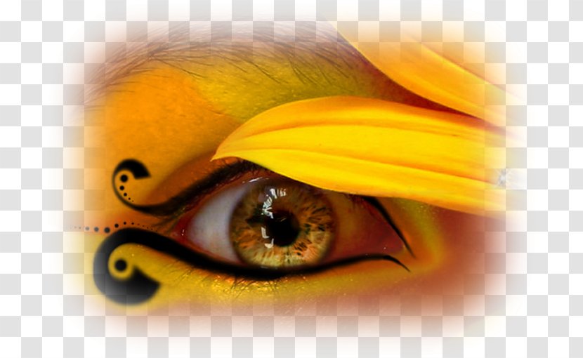 Red Eye Color Desktop Wallpaper Transparent PNG
