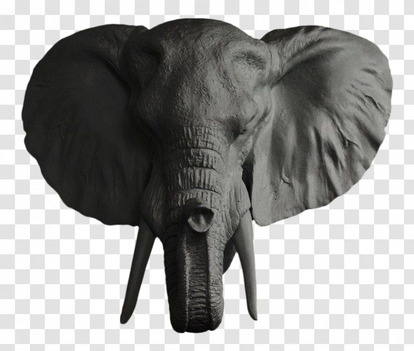 African Elephant Elephantidae Tusk Ganesha Bust - Terrestrial Animal - Head Transparent PNG