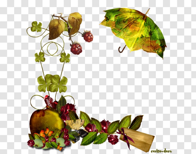 Autumn Fruit Photograph Akhir Pekan Rain - Identity Document - Couleurs De Lautomne Transparent PNG