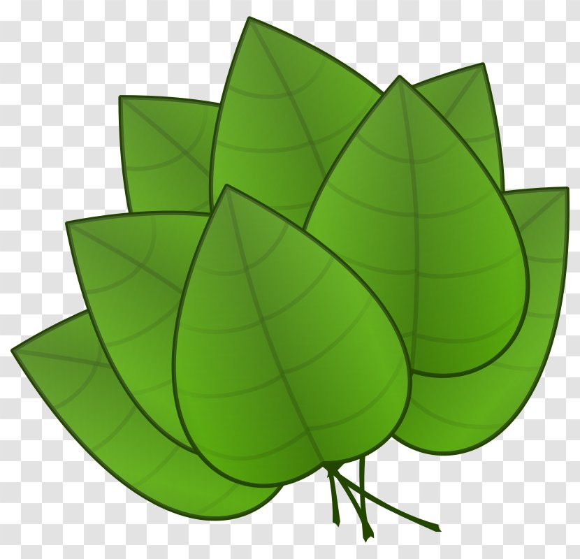 Autumn Leaf Color Free Content Clip Art - Green - Banana Split Clipart Transparent PNG