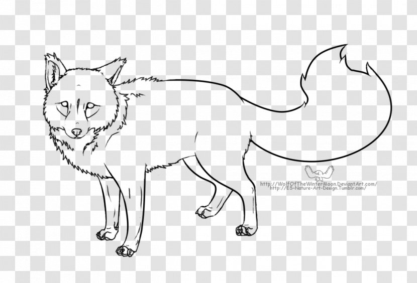 Whiskers Cat Line Art /m/02csf Drawing - Cartoon Transparent PNG
