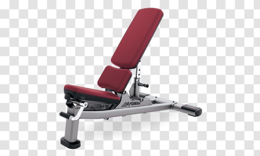 Bench Exercise Equipment Fitness Centre Weight Training Physical - Furniture - Hot Wheels Transparent PNG