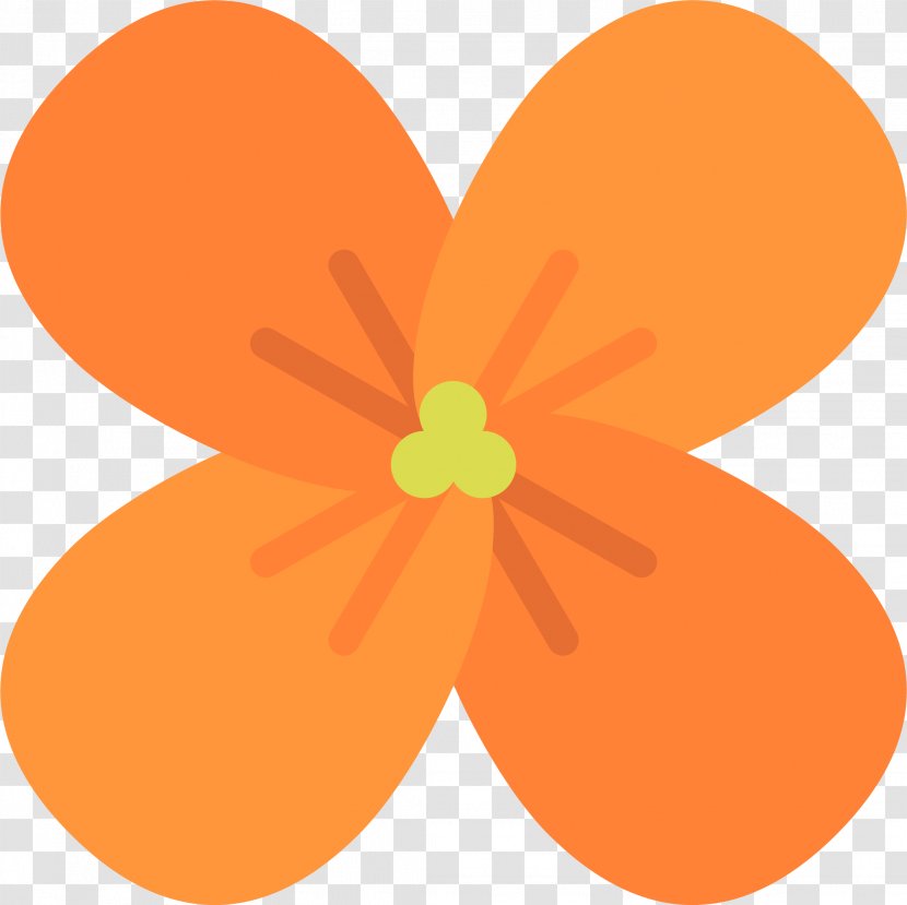 Petal Orange Blossom Citrus × Sinensis Flower Transparent PNG