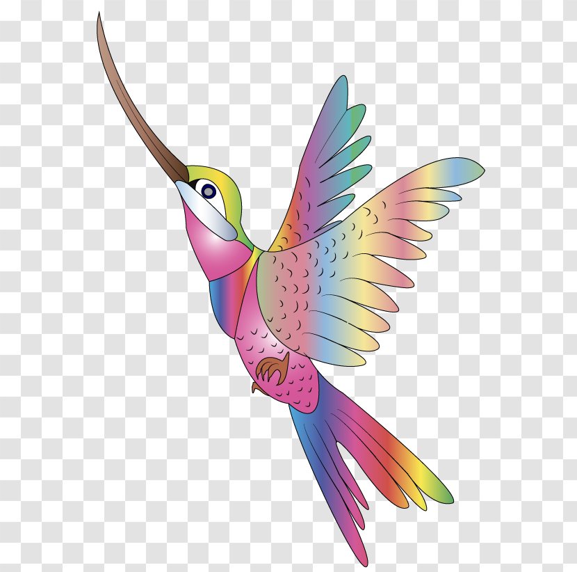 Hummingbird Clip Art Openclipart Vector Graphics Image - Pollinator - Bird Transparent PNG