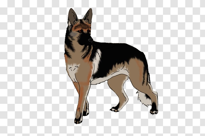 Dog Breed German Shepherd Tail - Angry Transparent PNG