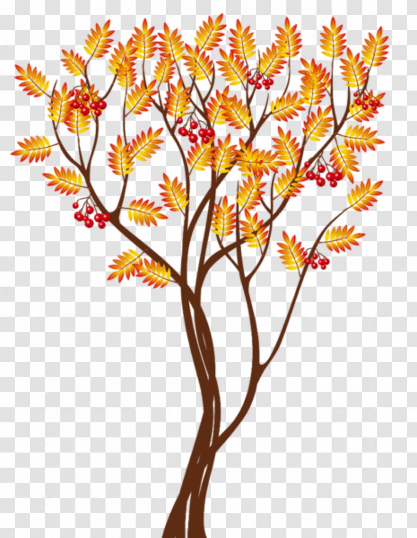 Clip Art Autumn Tree Desktop Wallpaper Image - Leaf Transparent PNG