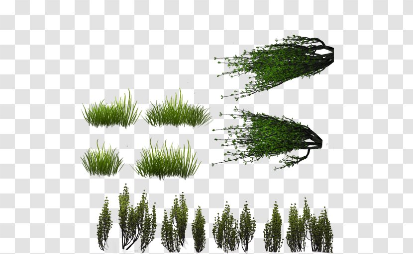 Sprite Lawn Texture Mapping PlayStation 3 Minecraft - Shader - Lumpur Vector Transparent PNG