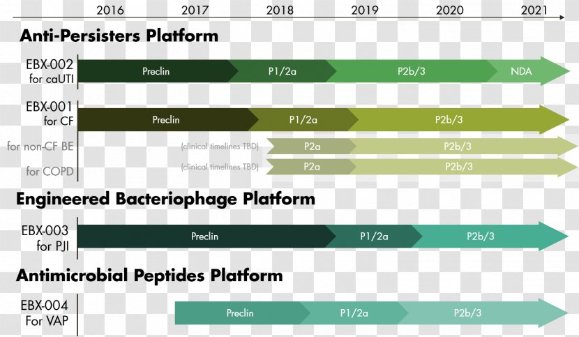 Infection EnBiotix, Inc. Cystic Fibrosis Drug Pipeline Business - Information Transparent PNG