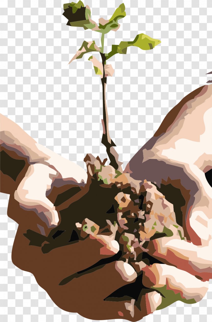 Church Planting Tree Christian - Plant Transparent PNG