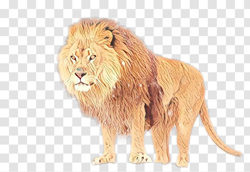 East African Lion Terrestrial Animal Image Painting - Big Cats Transparent PNG
