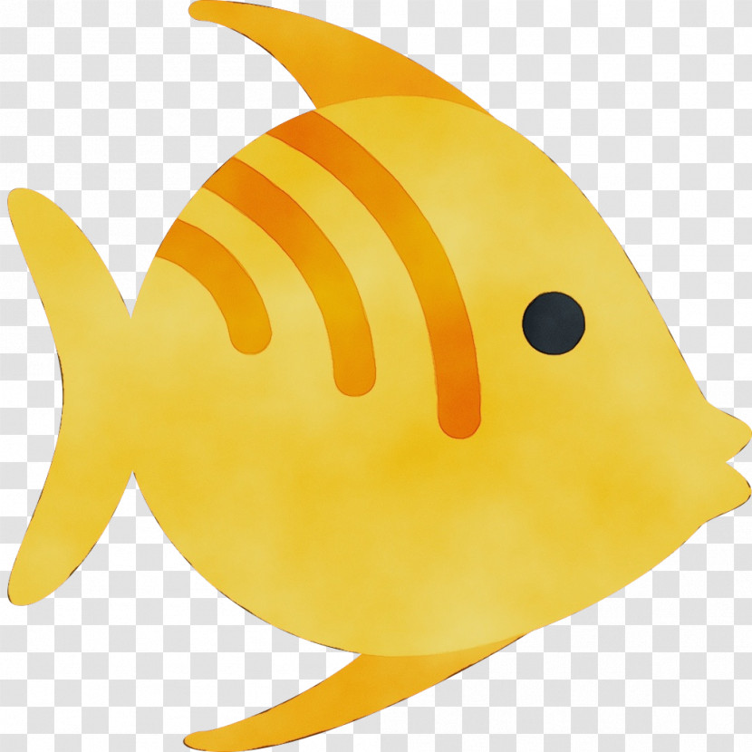 Fish Yellow Fish Fin Pomacanthidae Transparent PNG