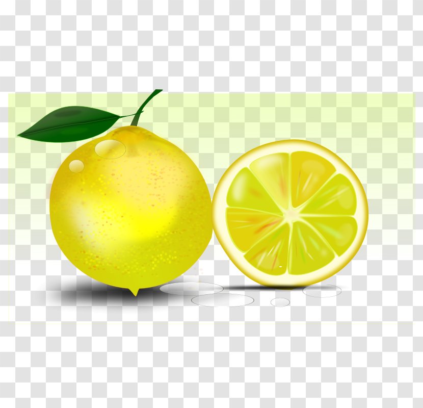 Lemon Tart Clip Art - Persian Lime - Slices Free Download Transparent PNG