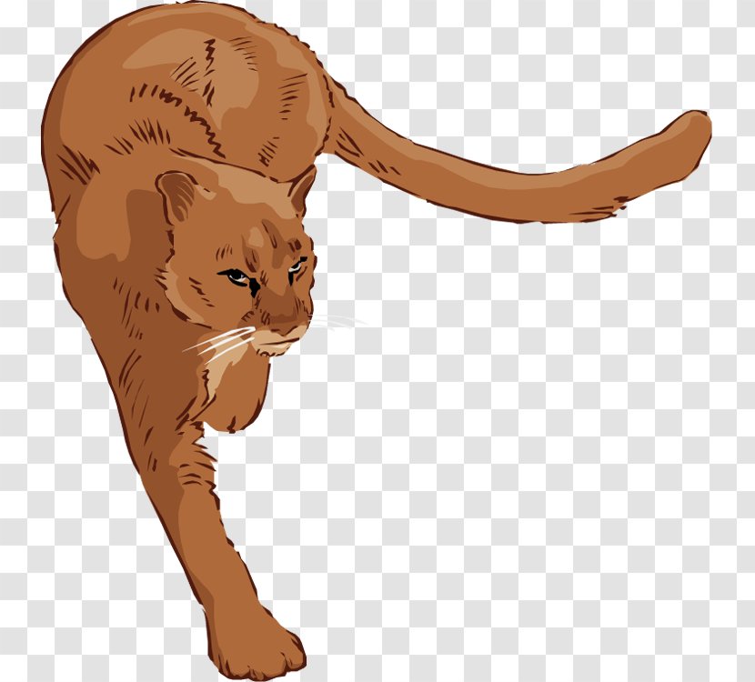 Cougar Lion Clip Art - Tail - Lioness Cliparts Transparent PNG