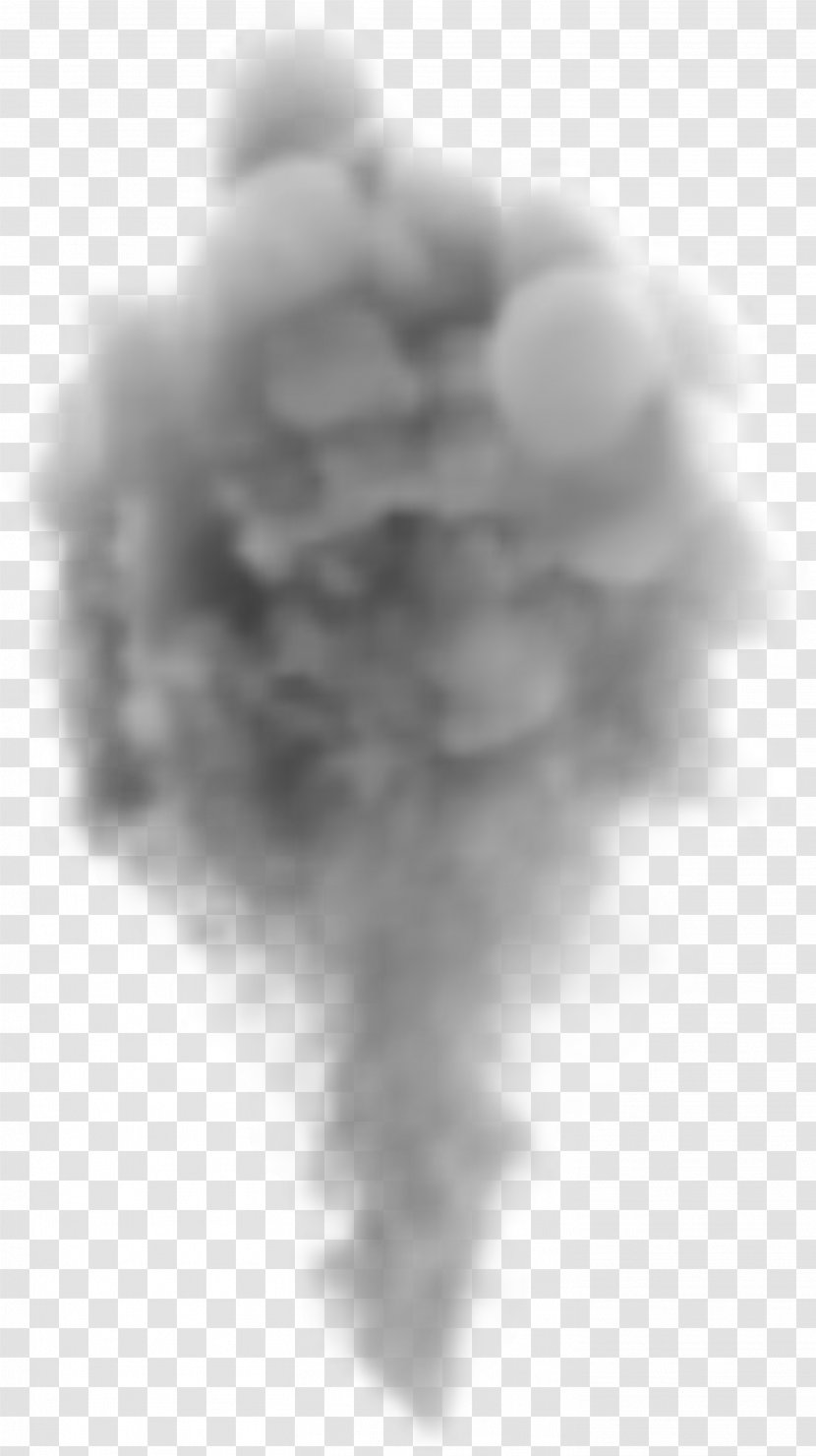 Smoke - Blackandwhite - Cloud Transparent PNG