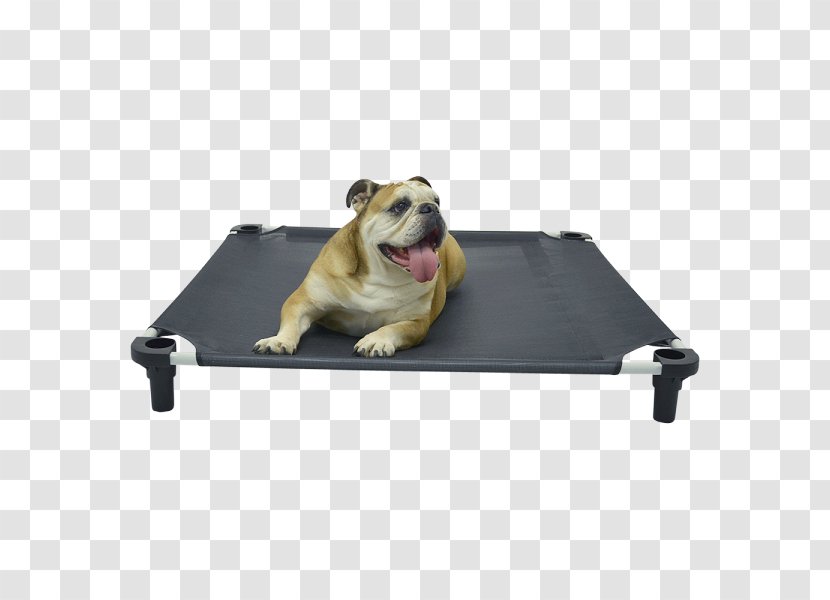 Dog Breed Cat Bed Pet - Camp Beds - The Cover Transparent PNG
