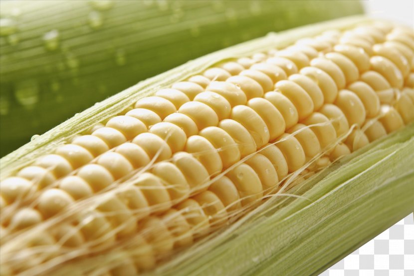 Corn On The Cob Maize Crop - Kernels Transparent PNG